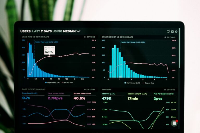 Analytics charts on a laptop screen representing credit-scoring model output